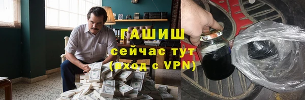 индика Абинск