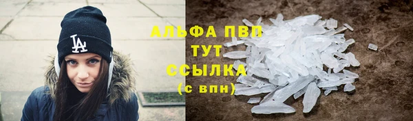 индика Абинск