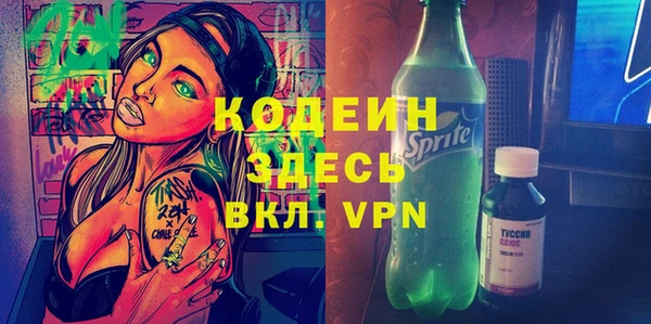 индика Абинск