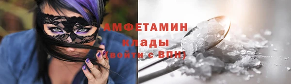индика Абинск