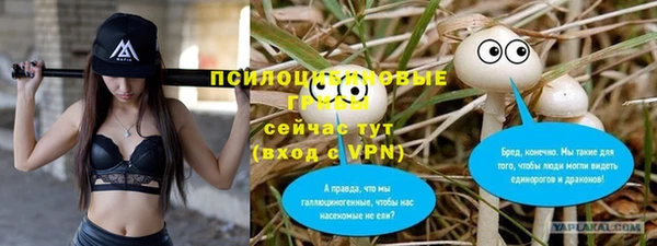 индика Абинск