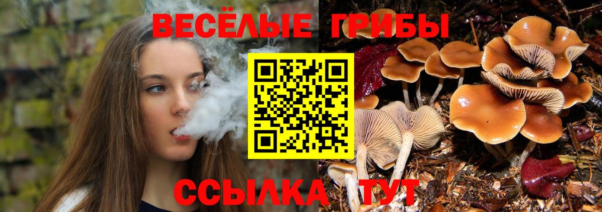 купить наркоту  Галлюциногенные грибы GOLDEN TEACHER  Вход с VPN  Стрежевой 