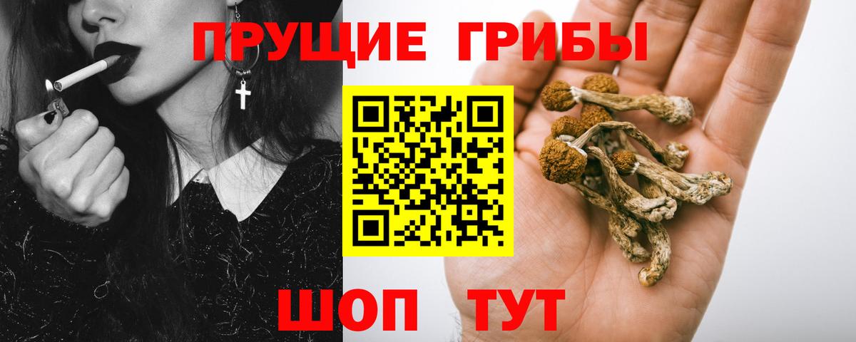 Бошки Шишки  А ПВП СОЛЬ кристаллы  МДМА  Мефедрон  Стрежевой  Меф кристаллы  Вход с VPN  КОКАИН  ГАШ 